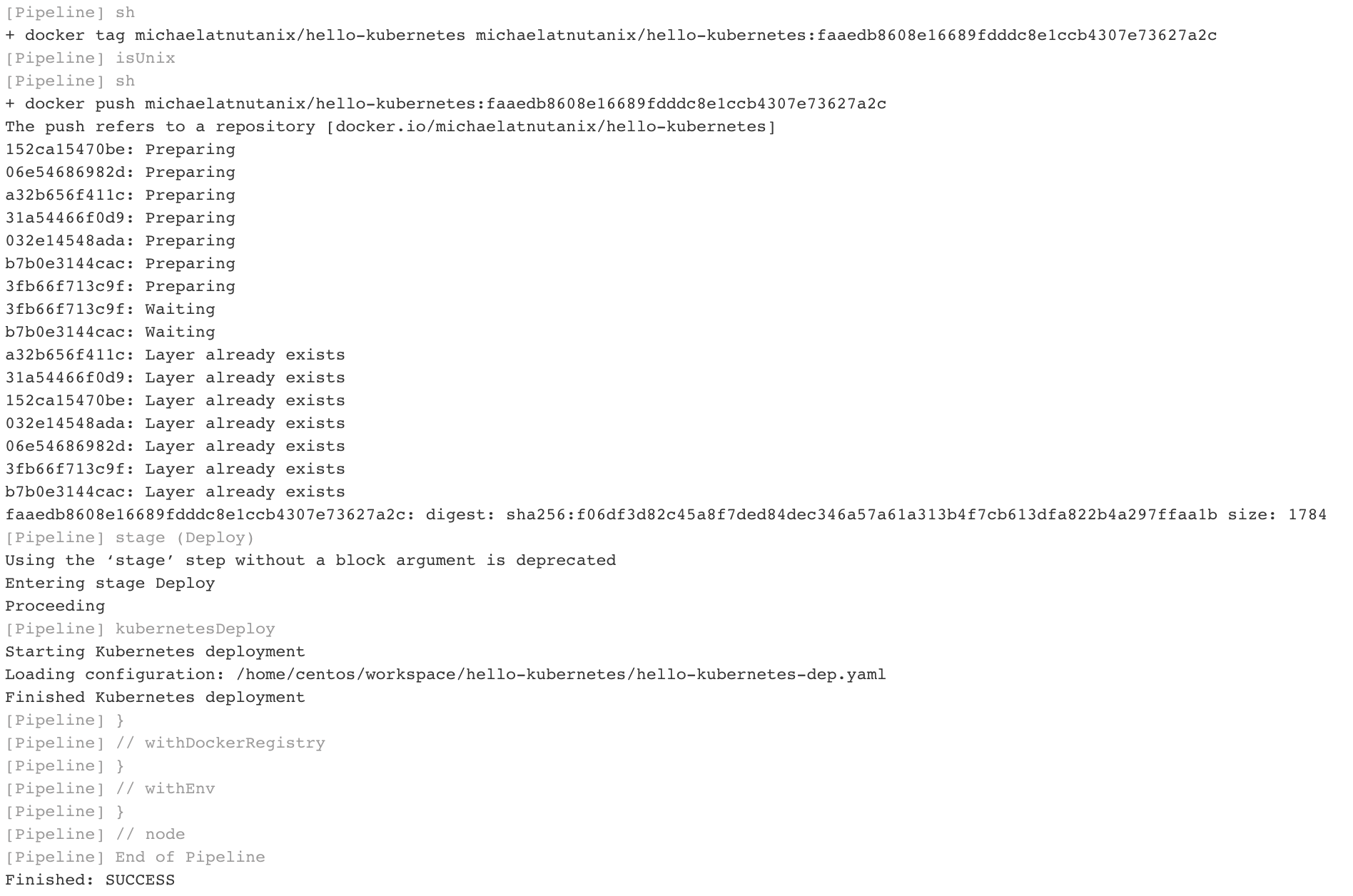 Jenkins Build #1 Console Output 3