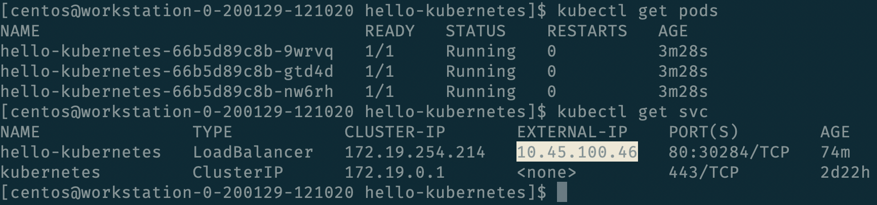 Kubectl Get Pods / Svc