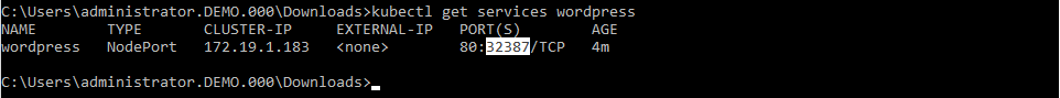 ../../_images/karbon_deploy_application_26.png